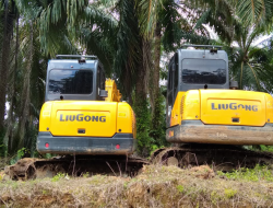 PT PN 13 Duduki Lahan Berstatus Quo, Pengadilan Tinggi Diminta Ambil Sikap