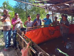 Bersumber dari Dana Desa, Pemerintah dan Masyarakat Desa Langedhawe Lakukan Panen Perdana Ikan Lele