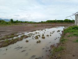 Luapan Kali Aesesa Mengancam Puluhan Hektar Sawah di Tonggurambang