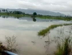 Desa Tonggorambang Langganan Banjir, Warga Minta Perhatian Pemerintah