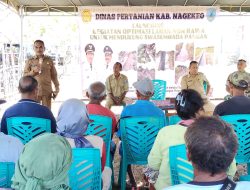 Pesan Wabup Gonzalo ke Petani: Kalau Ada Kendala Jangan Ribut di Medsos