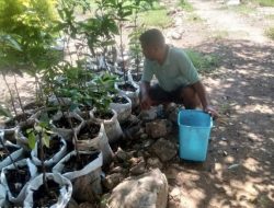 Usulan Musrenbang Tak Digubris Pemerintah, Warga Towak Kecewa 