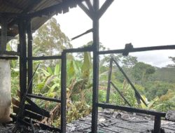 Si Jago Merah Hanguskan Rumah Warga di Wae Ri’i, Padi dan Beras Ikut Ludes