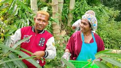 Angkat Isu Kesetaraan Gender, Wartawan Nagekeo Masuk 10 Terbaik Lomba Jurnalistik Akselerasi SDGs Bappenas 